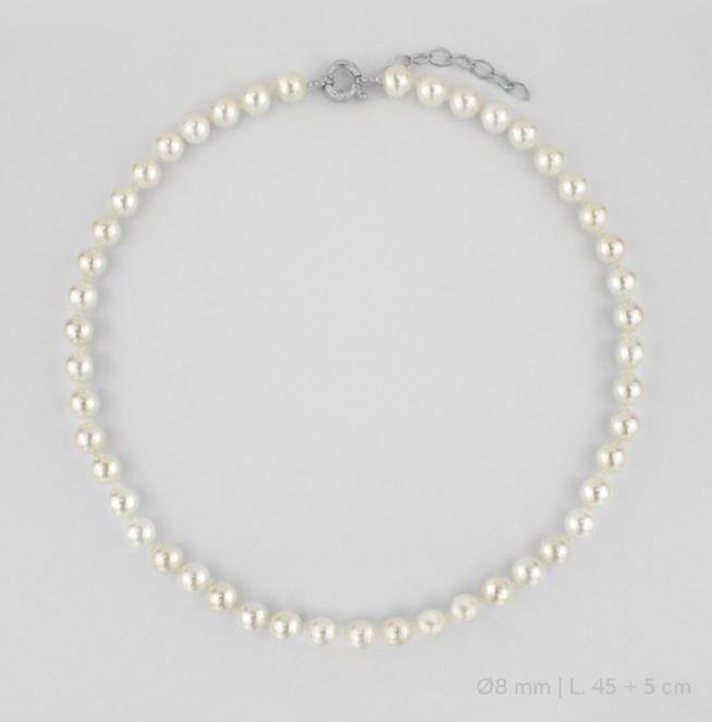 GARGANTILLA DE PLATA DE LEY | Ø8 MM | 45+5 CM DE EXTENSIÓN - ACABADO : RODIADO